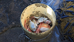2014-10-201194.JPG