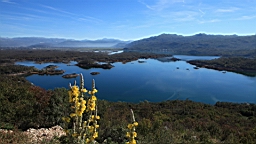2014-10-201248.JPG