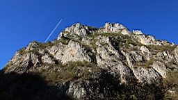 2014-10-201262.JPG
