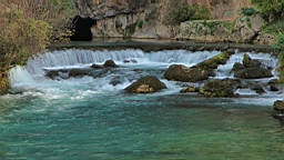 2014-10-221376.JPG
