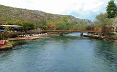 2014-10-221389.JPG