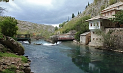 2014-10-221429.JPG