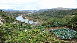 2014-10-221460.JPG
