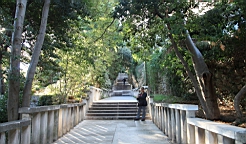 2014-10-231537.JPG