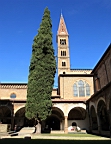 2014-10-251722.JPG