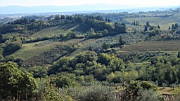 2014-10-261893.JPG