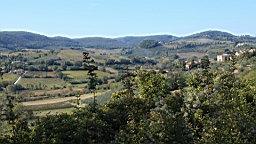 2014-10-261903.JPG