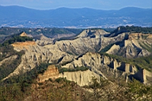 2014-10-271964.JPG