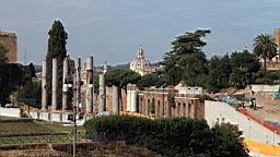 2014-10-282041.JPG