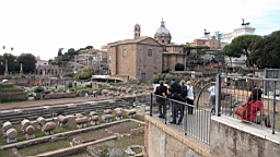 2014-10-282070.JPG