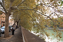 2014-10-292348.JPG