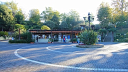 2014-10-302415.JPG