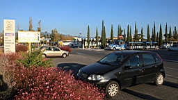 2014-10-302460.JPG
