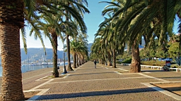 2014-10-312464.JPG