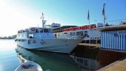 2014-10-312466.JPG