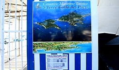 2014-10-312470.JPG