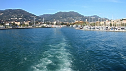 2014-10-312477.JPG