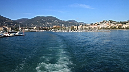 2014-10-312479.JPG