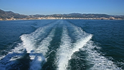 2014-10-312499.JPG