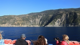 2014-10-312557.JPG
