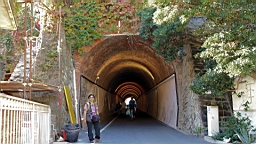 2014-10-312654.JPG