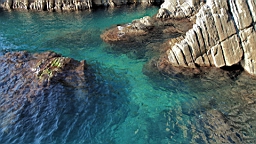 2014-10-312701.JPG