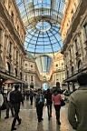 2014-11-012766.JPG