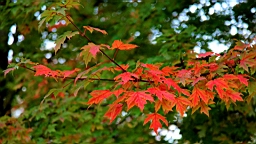 2014-11-012822.JPG
