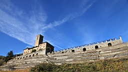 2014-11-022829.JPG