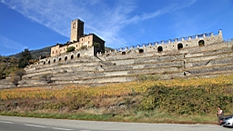 2014-11-022839.JPG