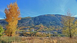 2014-11-022868.JPG