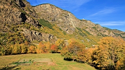 2014-11-022873.JPG