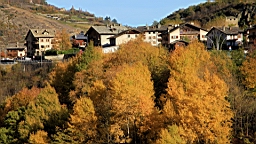 2014-11-022874.JPG