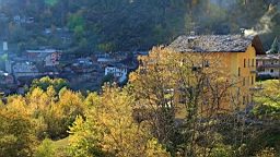 2014-11-022877.JPG