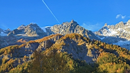 2014-11-022884.JPG