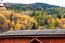 2014-11-032902.JPG