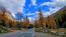 2014-11-032931.JPG