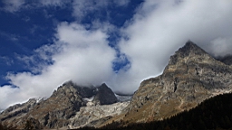 2014-11-032932.JPG