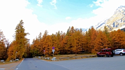 2014-11-032934.JPG
