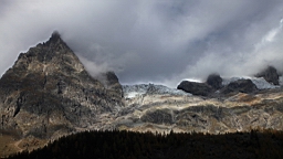 2014-11-032936.JPG