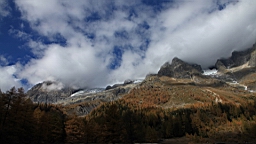 2014-11-032937.JPG