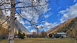 2014-11-032949.JPG