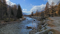 2014-11-032962.JPG
