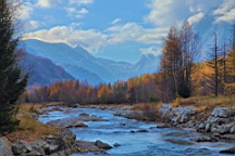 2014-11-032963.JPG