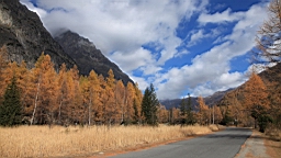 2014-11-032965.JPG