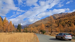 2014-11-032970.JPG
