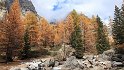2014-11-032971.JPG