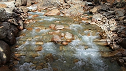 2014-11-032972.JPG