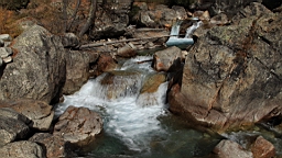 2014-11-032974.JPG