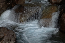 2014-11-032975.JPG